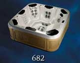 Bullfrog Spas